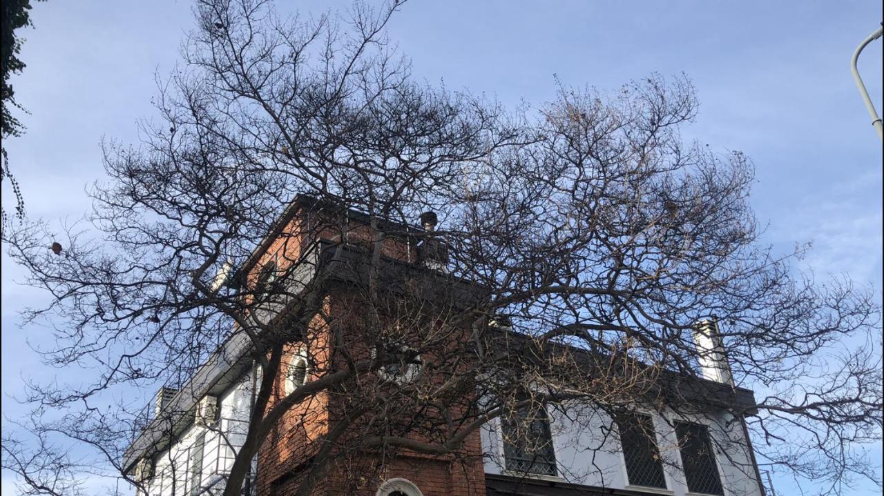 Villa Camilla Milano Εξωτερικό φωτογραφία